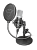 Микрофон